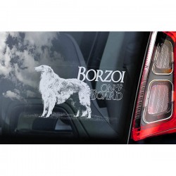 Borzoi on Board