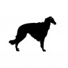 Borzoi